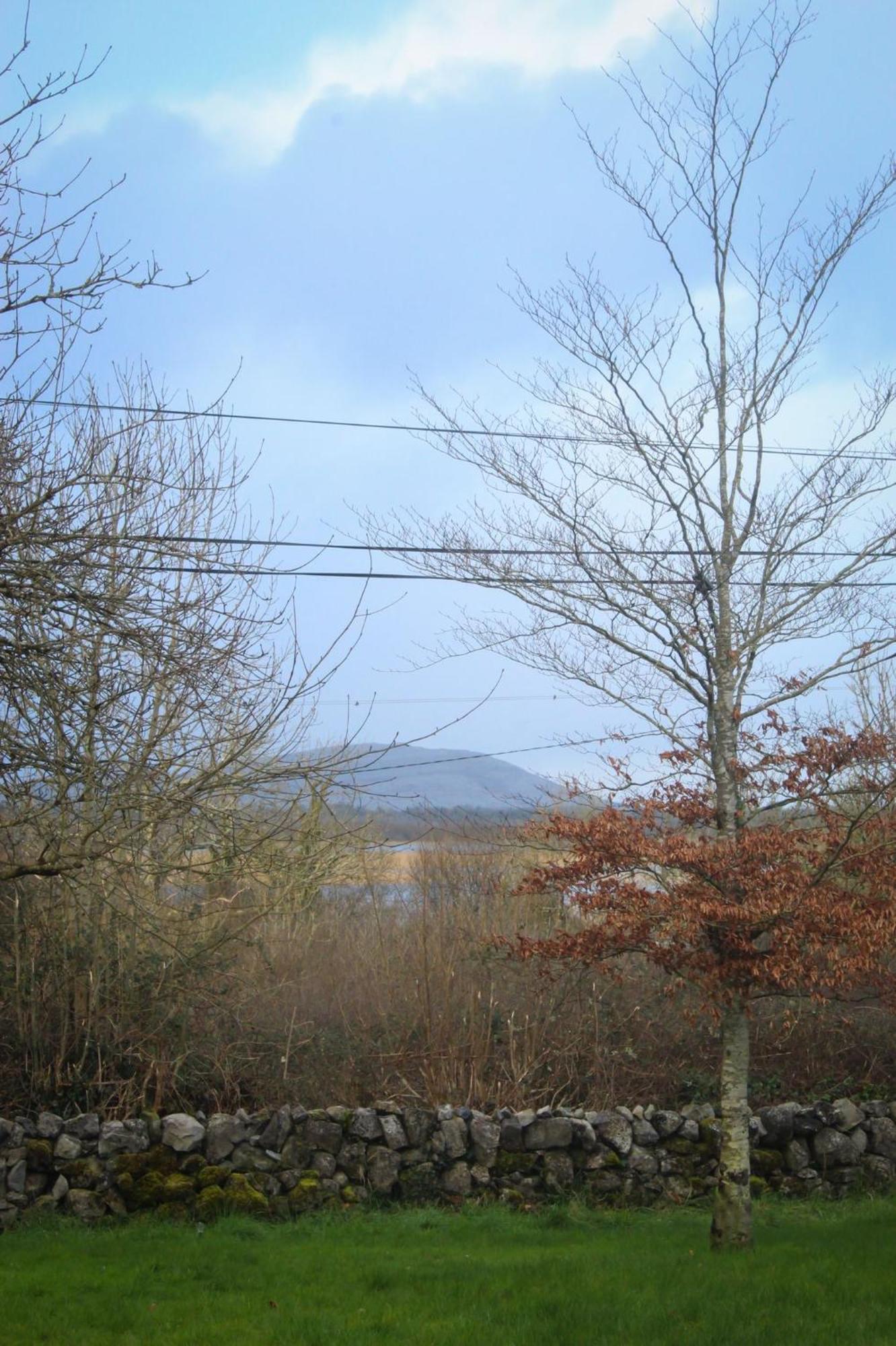 Riverside Cottage In The Burren Corofin  Esterno foto
