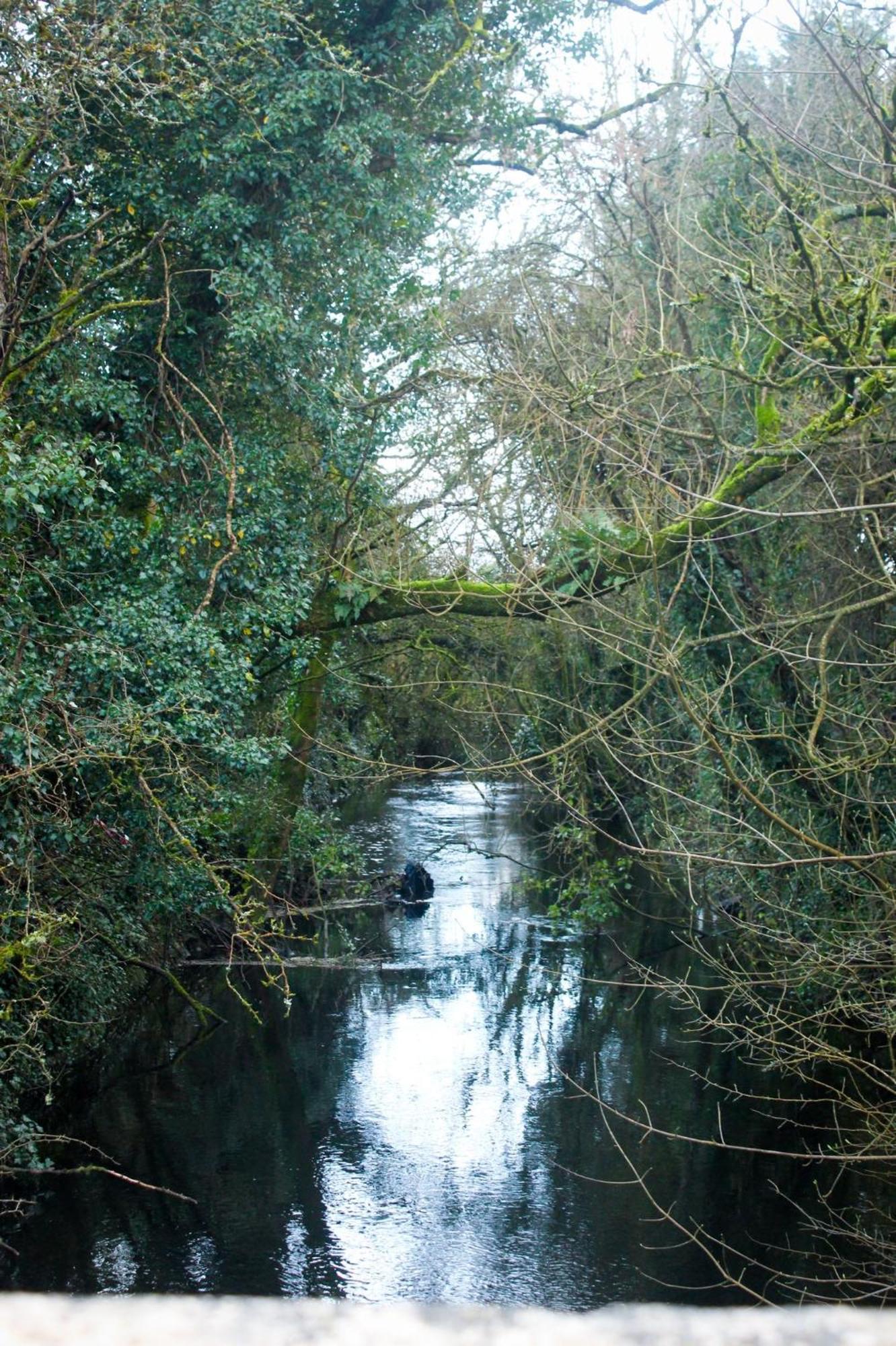 Riverside Cottage In The Burren Corofin  Esterno foto